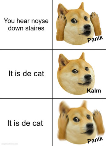 Panik kalm panik doge meme: You hear noyse down staires. Panik doge. It is de cat. Kalm doge. It is de cat. Panik doge.