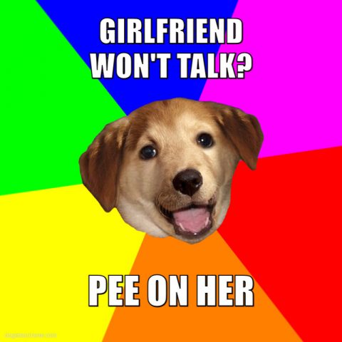 Advice dog template with caption: Girlfriend won't talk? Pee on her.