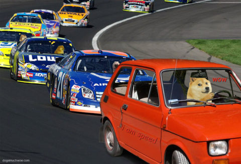 Doge driving Maluch in a race. Such car. Much speed. Wow.