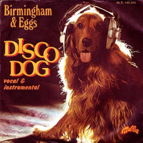 Birmingham & Eggs Disco Dog album cover. Dog with headphones running disco.