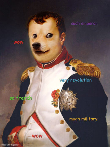 Le Napoleon Doge. Such emperor. So french. Much revolution. Wow.