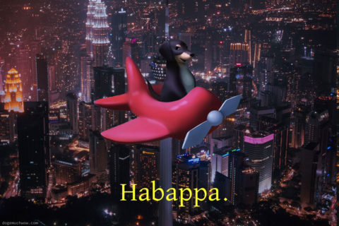 Dog of Song: Habappa. The dog flying over night city lights in his little red aeroplane.