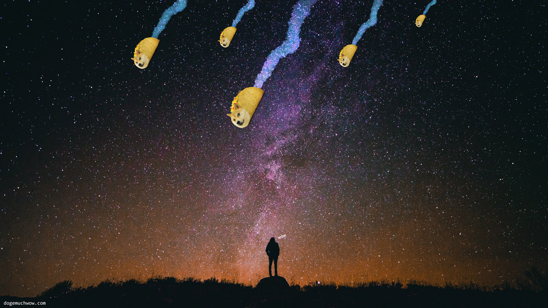 The Tacocalypse. Person watching doge tacos falling from the nightsky.