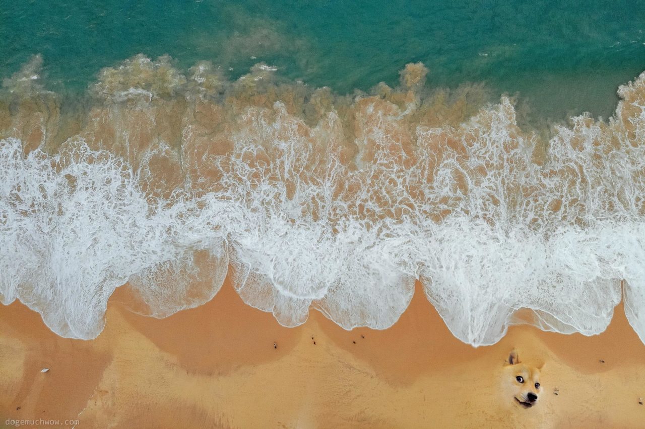 Aesthetic wallpapers: Top down photo shot of a beach with Doge visible doge structure. Such ocean. Very sand. Wow.