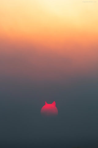 Aesthetic wallpapers: Sunset with a Doge shaped sun. Such ears. Very red. Wow.