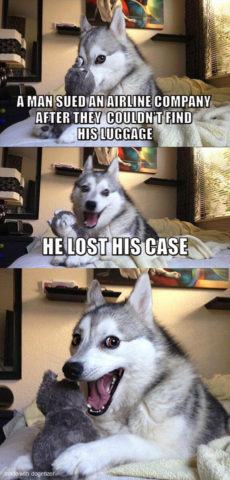 Bad Pun Dog Meme: A man sued an airline company after they couldn’t find his luggage. He lost his case. Wow.