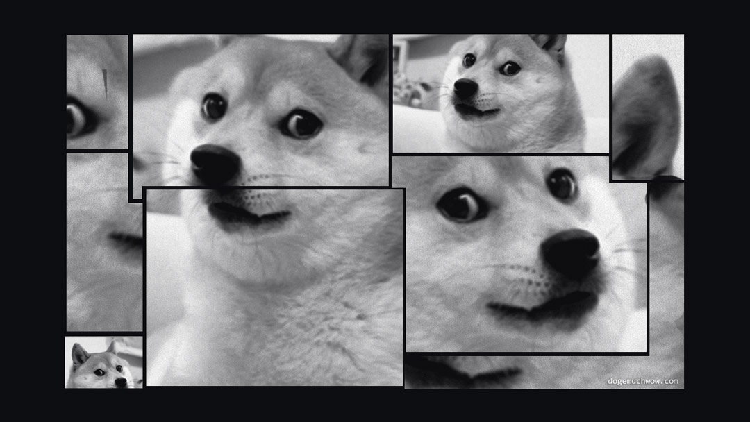 Scatman Doge watching you from various angles. Wow.
