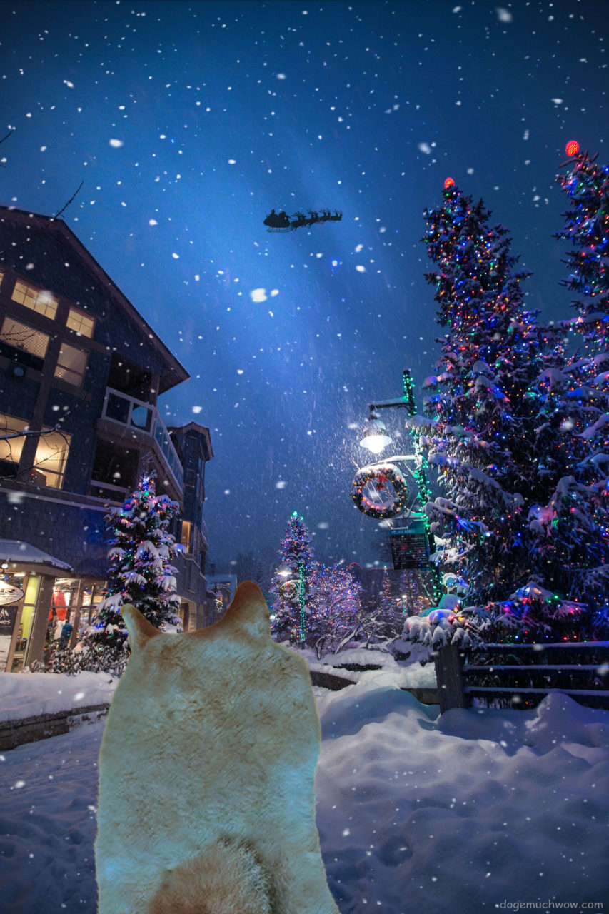 Christmas wallpaper: Snowy Christmas village with Doge looking at Santa Claus sleigh flying in the nightsky.