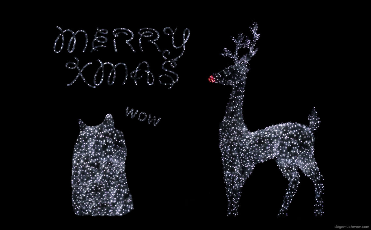 Christmas wallpaper: Doge and reindeer made of christmas lights. Such effect. Wow. Caption: Very Merry Xmas.