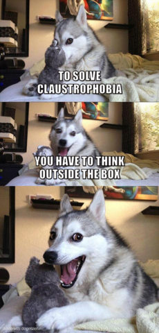 Pun dog meme: To solve claustrophobia you have to think outside the box. Wow.