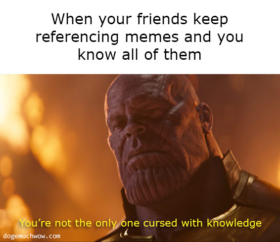 Deep visual thinking. Thanos saying: "You're not the only one cursed with knowledge" scene from Avengers. Caption: When your friends keep referencing memes and you know all of them.