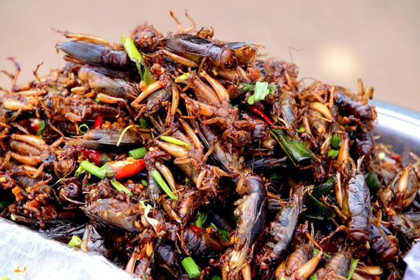 Cursed Food Image: A colorful bug salad. What is it? Crickets?