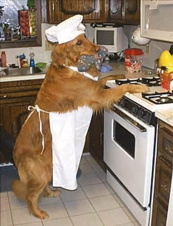 Cursed Food Image: Dog preparing food in the kitchen. It's going to be special. Wow.