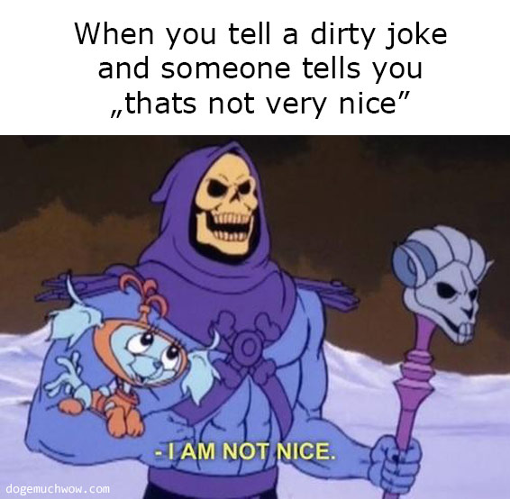 Deep visual thinking part 10. Skeletor saying "I'am not nice". Caption: When you tell a dirty joke and someone tells you "that's not very nice".