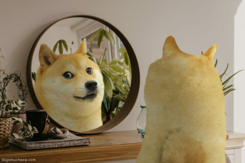 reflection nebula doge