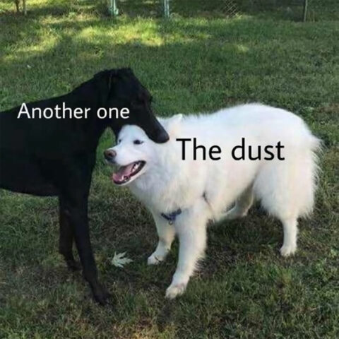 Black dog bites white dog. Caption: Another one, The dust. Such bite. Wow.