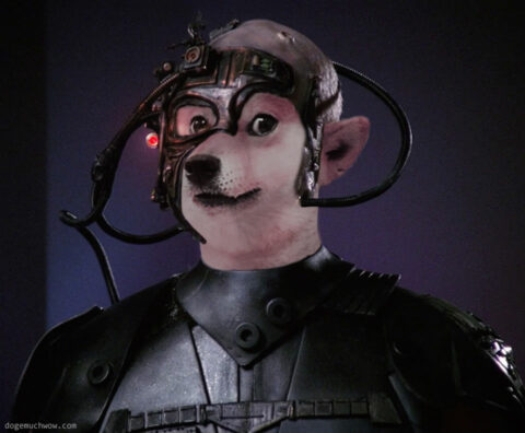 Starfleet captain Doge-Luc Picard as Locutus of Bork. Wow.