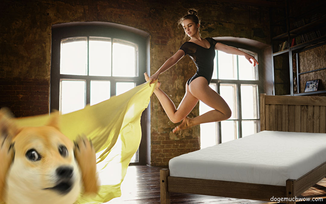 Doge impressed with ballerina's making bed skills. Such talent. Wow.