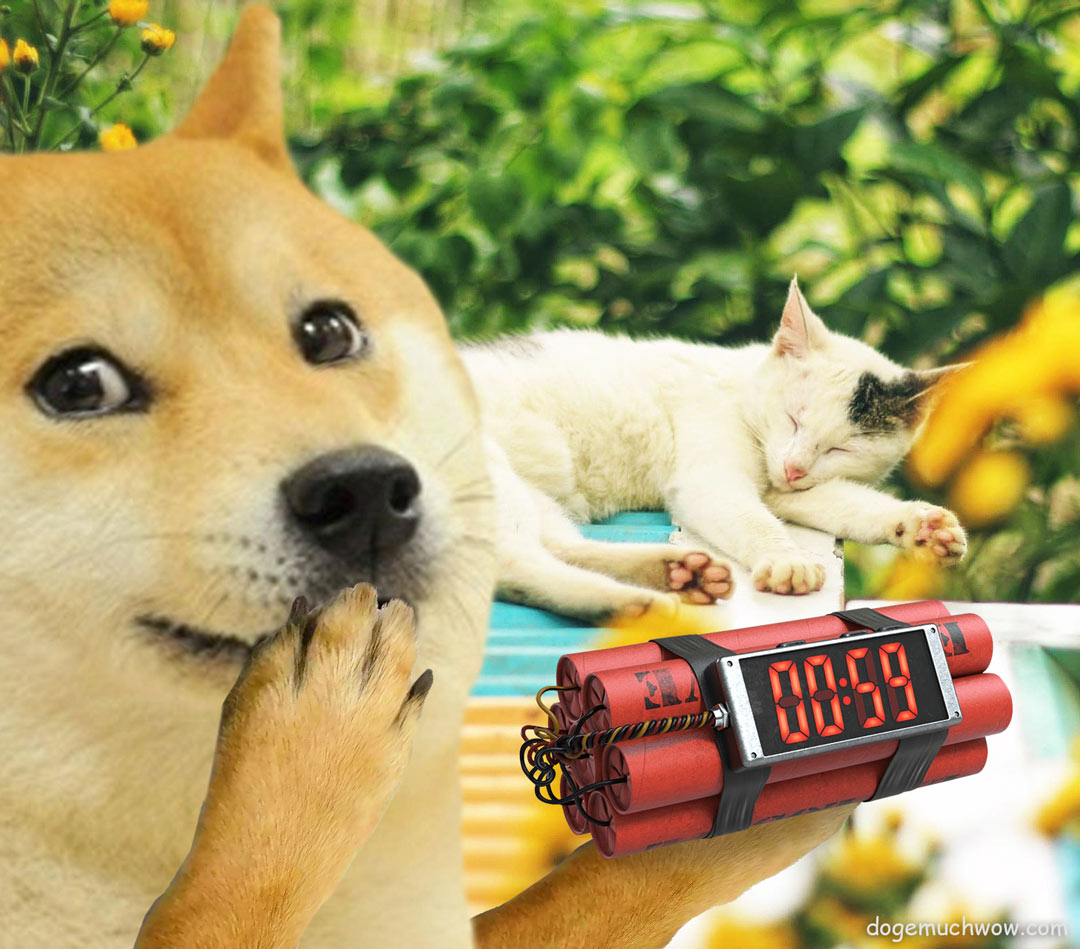 Smirking Doge about to prank sleeping cat with a time bomb. Such prank. Wow.