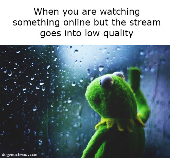 Deep visual thinking. Caption: When you are watching something online but the stream goes into low quality. Kermit looking through rainy window.