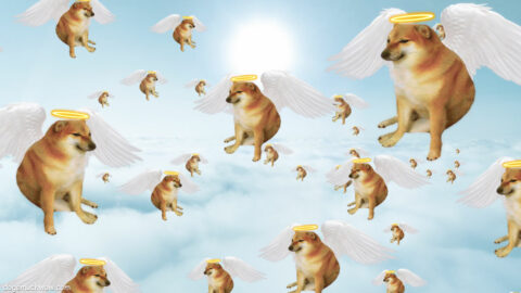 Basically Heaven 😇 | Doge Much Wow