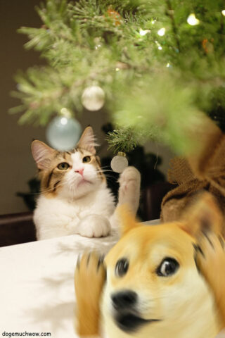 Doge shocked by a cat playing with a christmas tree. Such danger. Wat do. Wow.