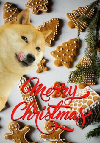 Doge savoring christmas cookies. Merry christmas. Wow.