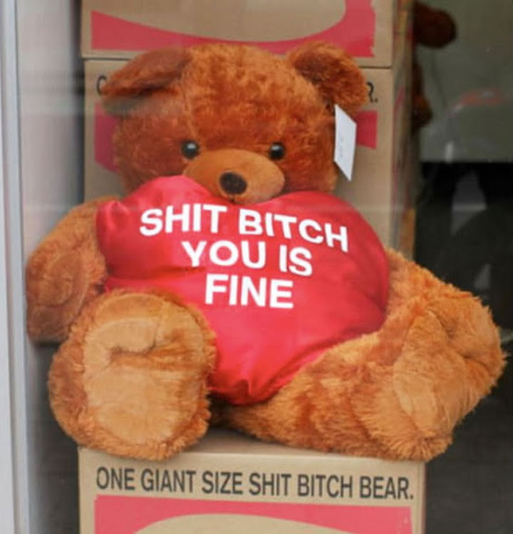 Cursed Toy Image: Giant shit bitch bear with caption "Shit Bitch You Is Fine".