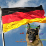 Dogs With Flags: Flag Of Germany 🇩🇪