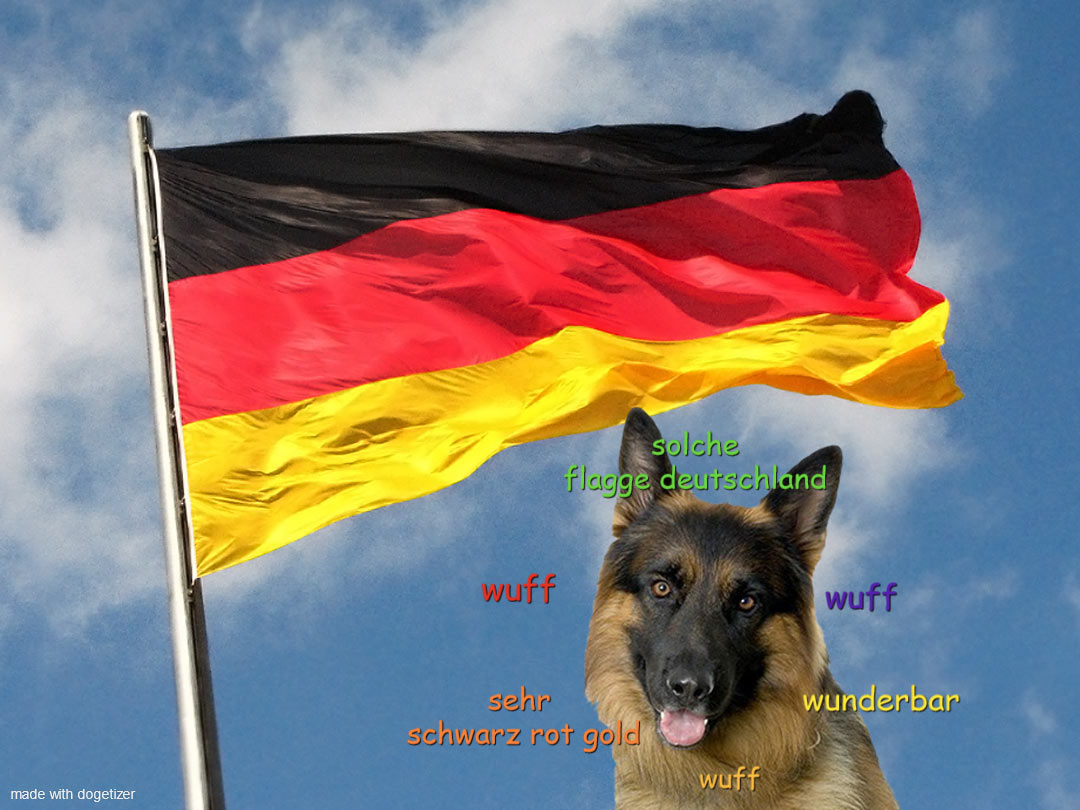 German shepherd with flag of Germany in the backround. Sehr schwarz rot gold. Wuff.
