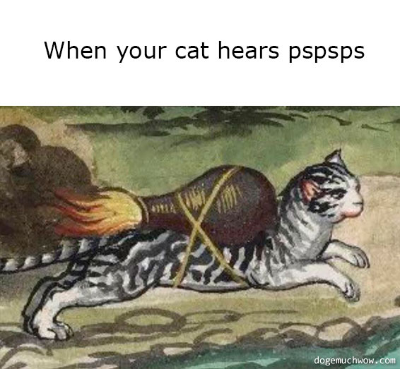 Deep visual thinking medieval edition. Extra fast cat with an afterbuner jug on its back. Caption: When your cat hears pspsps.