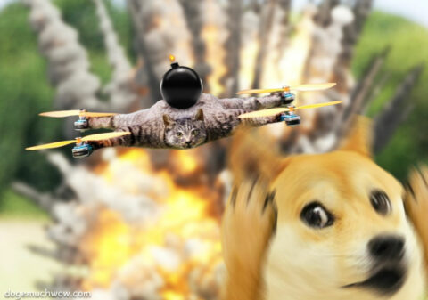 Doge running away from Baycatar drone. Such aircraft. Much kamikaze. Wow.