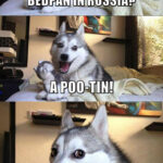 Russian Bedpan Dog 🧻