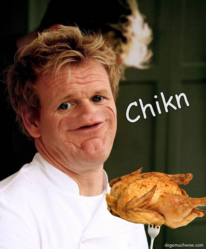 Gordon sosig meme: Chikn - chicken.