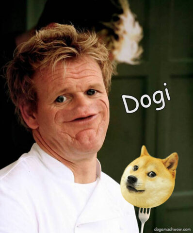 Gordon sosig meme: Dogi - doge.