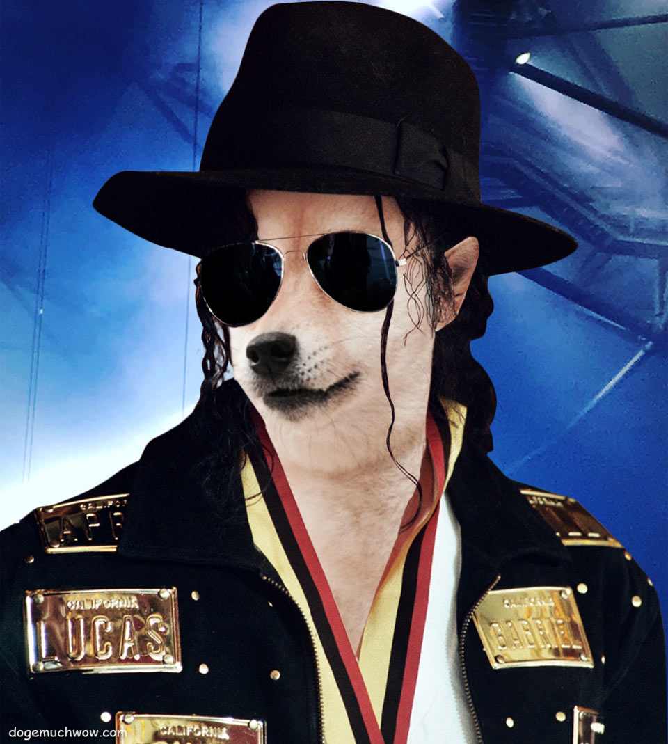 Michael Jackson Doge. Very he hee. Wow.