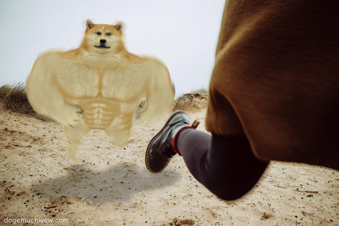 Swole Doge chasing a person in the desert. Such predator. Much scary. Wow.