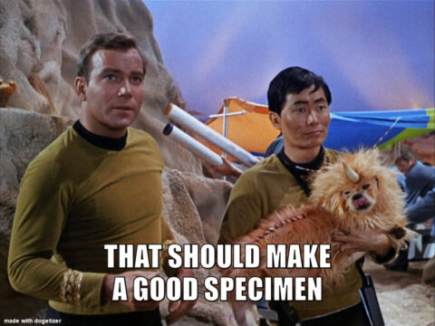 Captain Kirk and his crew find an unicorn dog. Caption: That should make a good specimen.