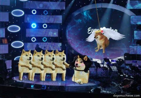 The Doges at selection for Eurovision.
