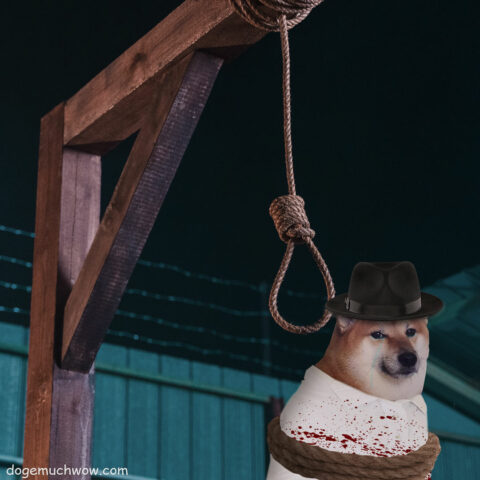 Cheems tied with rope waiting at the gallows prior to the hanging.