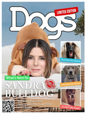 Dogs Magazine cover featuring Sandra Bulldog. Such star. Wow.