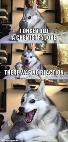 Pun dog meme: I once told a chemistry joke. There was no reaction.