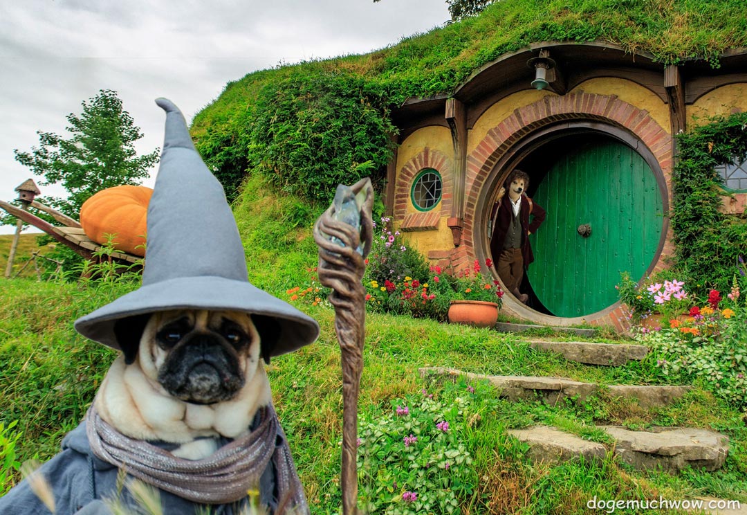 Pugdalf visits Dildo Baggins in the Shire. Wow.