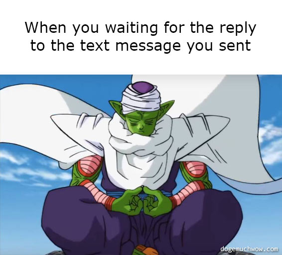 Deep visual thinking 12. Mr Piccolo meditating. Caption: When you waiting for the reply to the text message you sent.