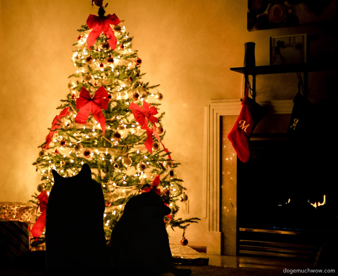 Doge and Cheems chillin' by the christmas tree. Very merry christmas. Wow.