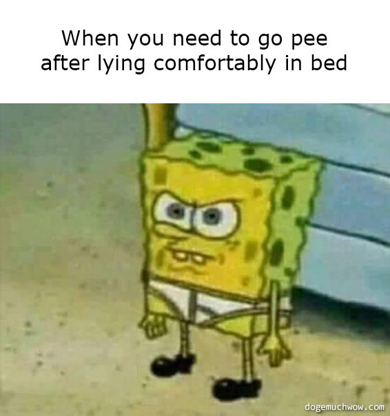 Pissed off spongebob in just his panties. Caption: When you need to go pee after laying comfortably in bed.