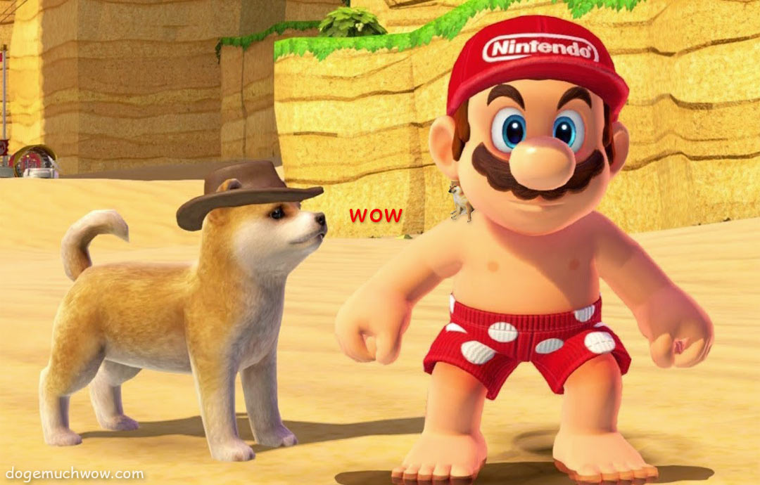 Super Super Mario Odyssey Doge Much Wow