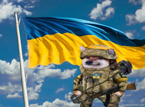 Ukrainian NAFO fella with Ukraine flag in background. Wow.