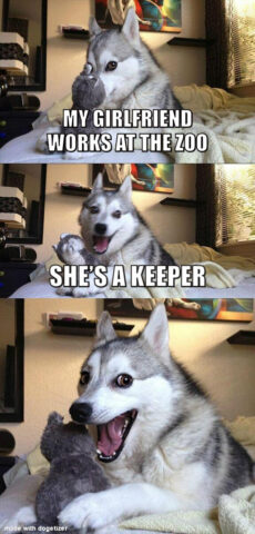 Pun dog meme: My girlfriend works at the zoo. She's a keeper. Wow.