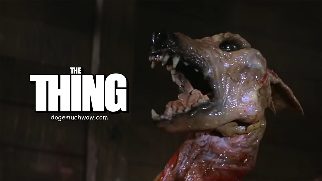 The thing from The Thing but it transform into a doggo. Such beast. Wow.